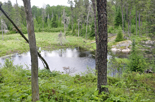 pond on Doreal Trail in Ontario Canada